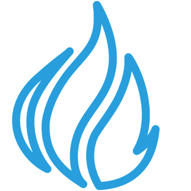 FHIR